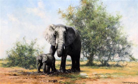 § David Shepherd (1931-) Elephants and acacia, 15 x 24in.